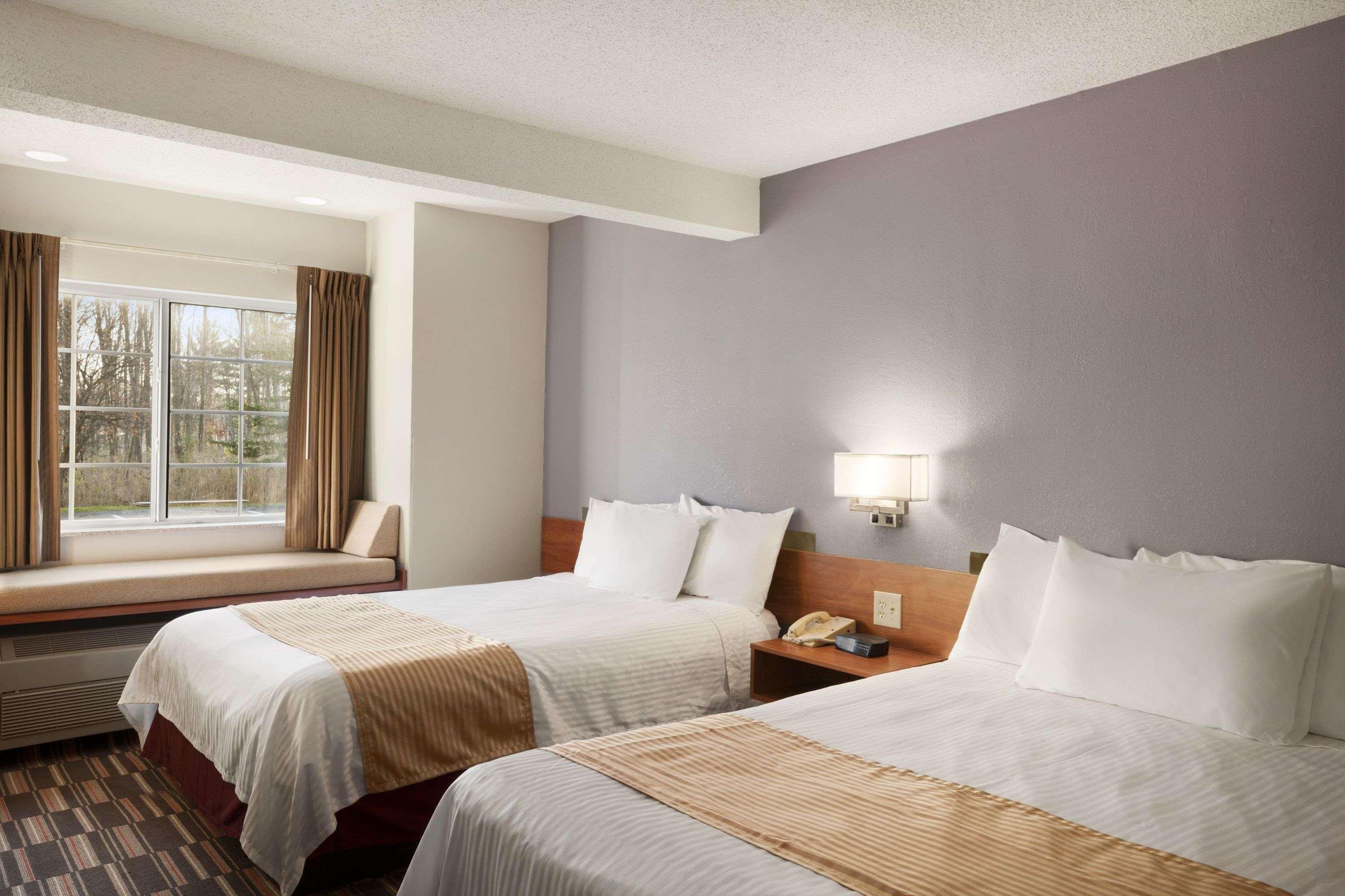 Microtel Inn By Wyndham - Albany Airport Latham Exterior foto