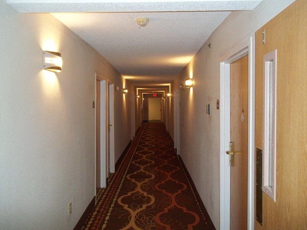 Microtel Inn By Wyndham - Albany Airport Latham Exterior foto